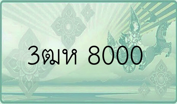 3ฒห 8000